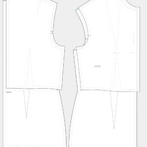 MODULE -2: Basic Bodice and Dart Manipulation